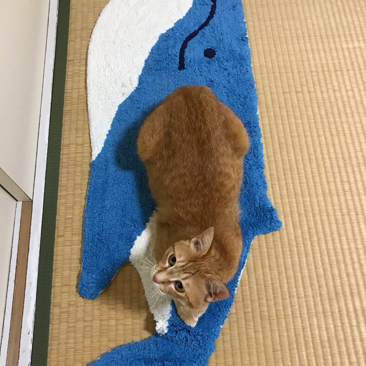 424eccbf eb05 4665 bbb8 92f55fa91d94 1560616867536