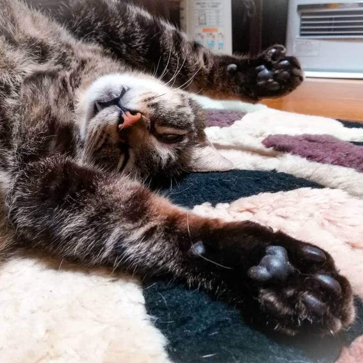 424edaa4 95a3 43a7 819c 08682605de06 1588502630752