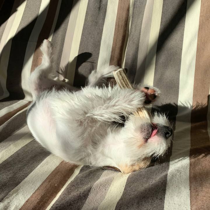 424f3b87 be8e 4e25 86a6 23f871a3fa04 1577146590498