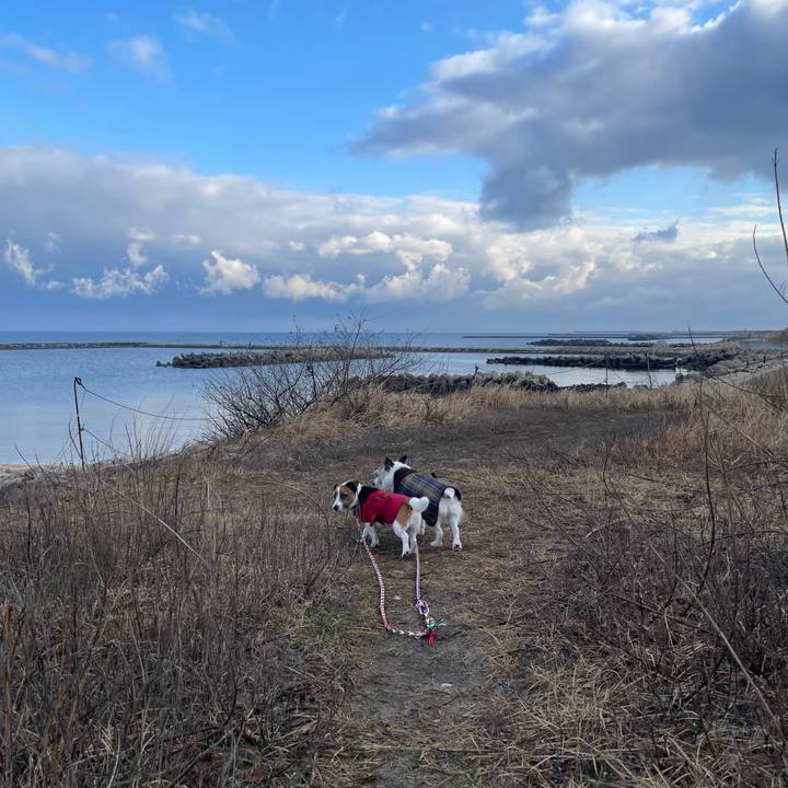 424f442b 7266 4e22 8fa4 e768656555e1 1773271098180