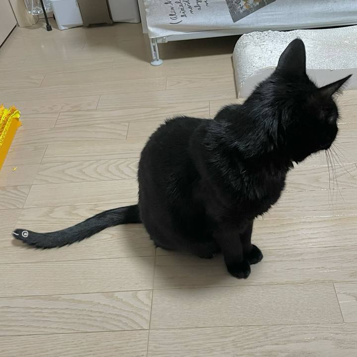 424f7aef 610a 4121 a727 06411e000d45 1735803443066