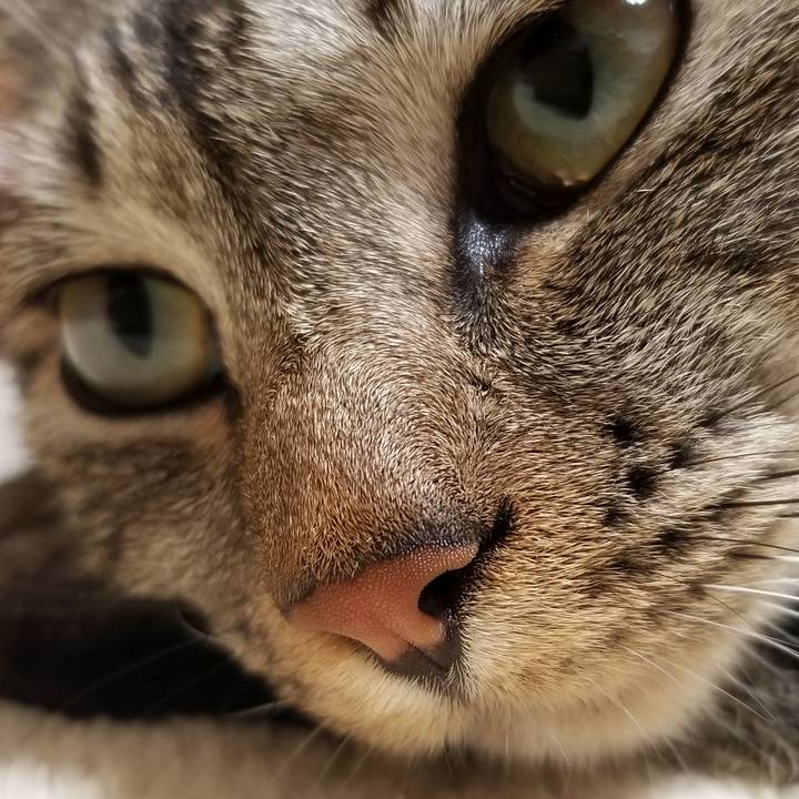 424f88ef ea55 4ef1 995f 797d4b7bd8de 1689207260279