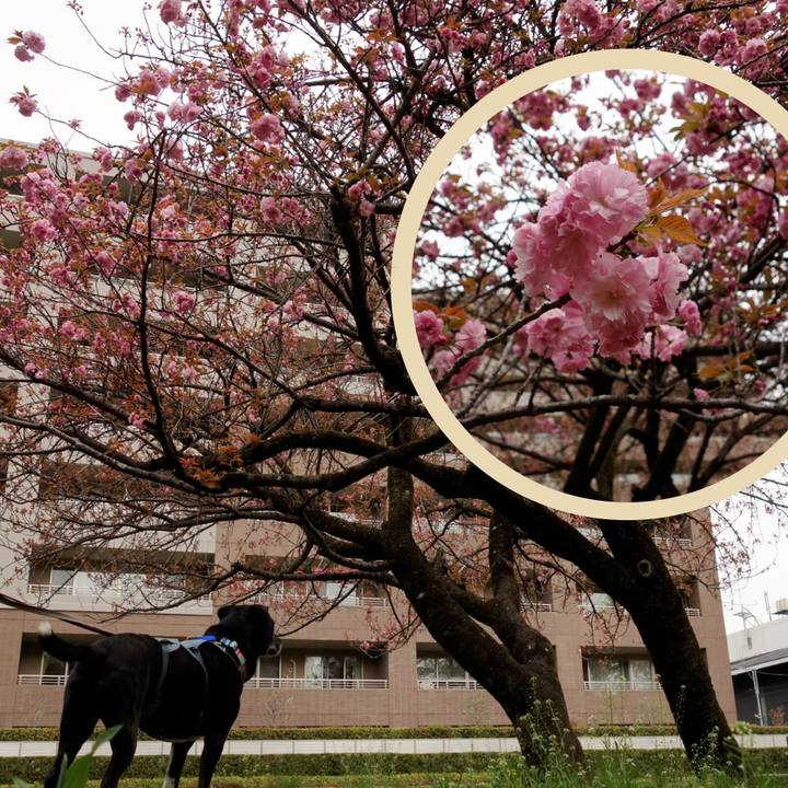 424fac50 9ad3 45d0 a819 812ff4602a14 1744246035268