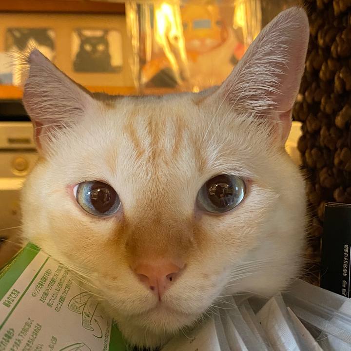 424fe06b 73f6 4df0 86e0 f503101b1166 1697282838553