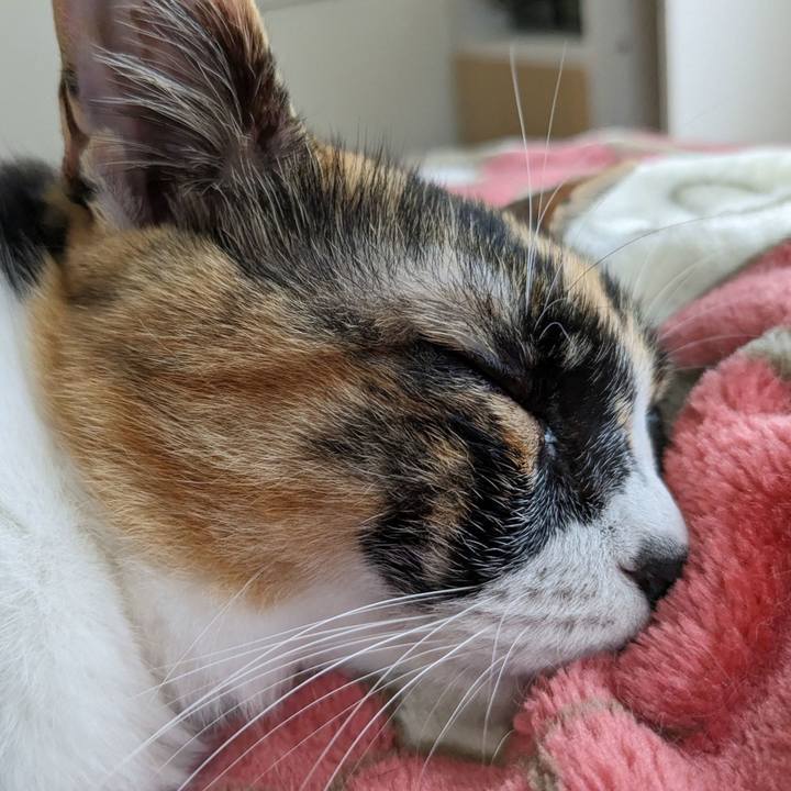 4250036a 8445 4b0c 9099 a3c4df647126 1684816239665