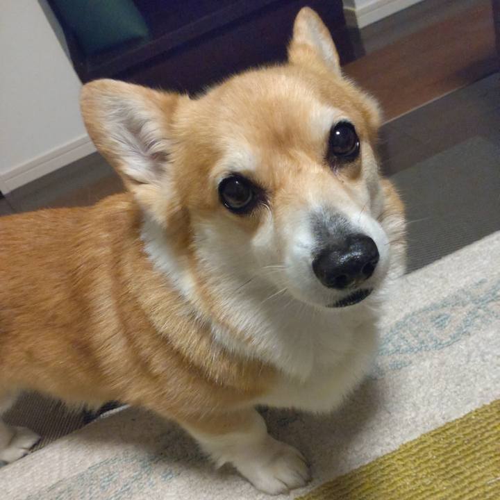 42502df3 3d57 41d6 9ee0 e9e9209aace8 1684240674648