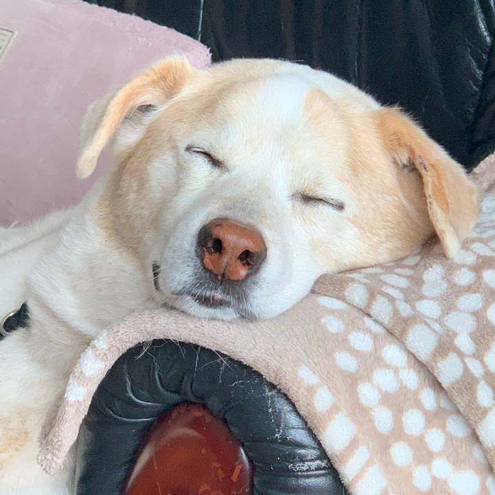 4250451a 3c67 4b39 be46 127479735864 1678594879425