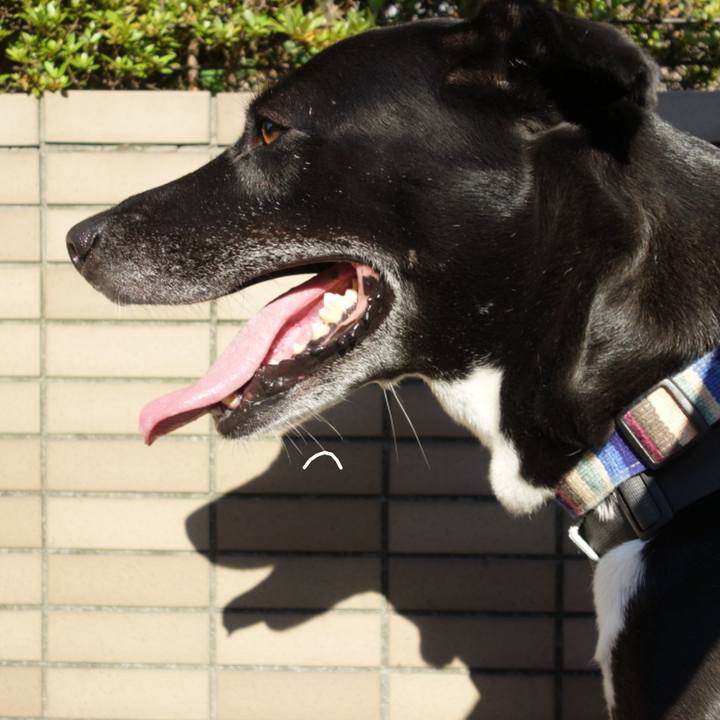 4250aeaf 60e6 4376 830e a3d9df979207 1656371568408