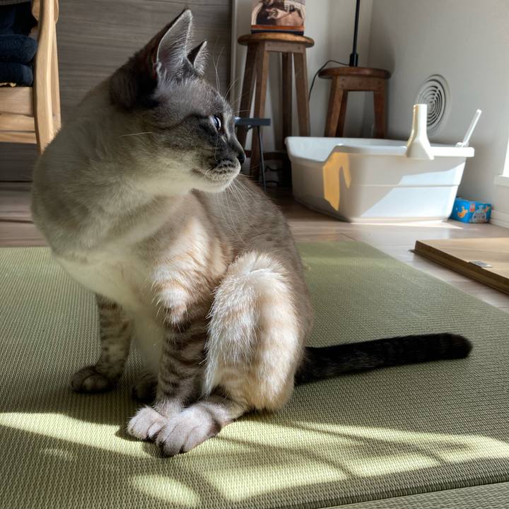 4250b4b5 b0dd 4493 a5c1 933b7be19f32 1682983780432