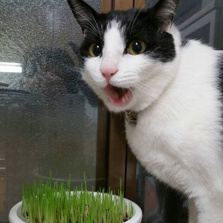 4250b65d 4eea 4579 9d16 95264e566583 1516055152047