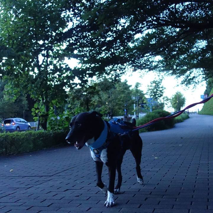 4250cd48 0a76 4654 a7d0 b43221331907 1627987766872