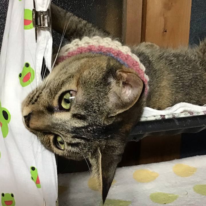 42511c3c a716 4300 868f 4371a2aebd58 1626776190931