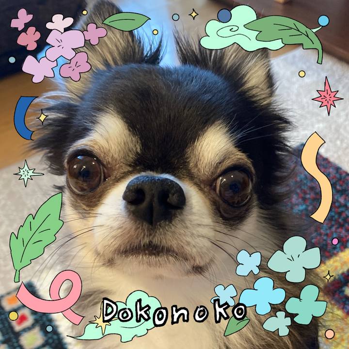 42513858 afc2 4379 b1ef cbbdbc993c79 1717889089196