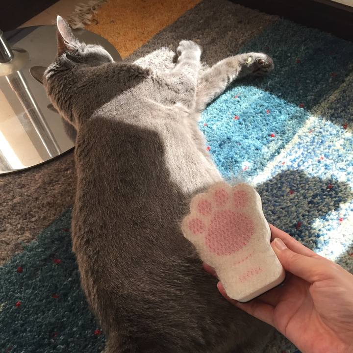 425148ab 3e4e 48d7 9448 6bcc47fd8587 1537523127769