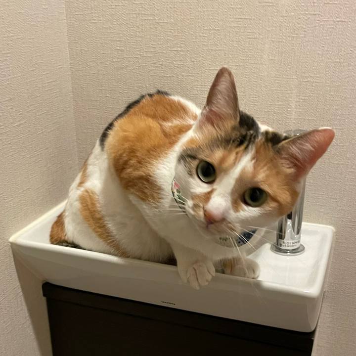 425148dc e50d 4cd8 bae8 cd0e142fc3de 1724506014427