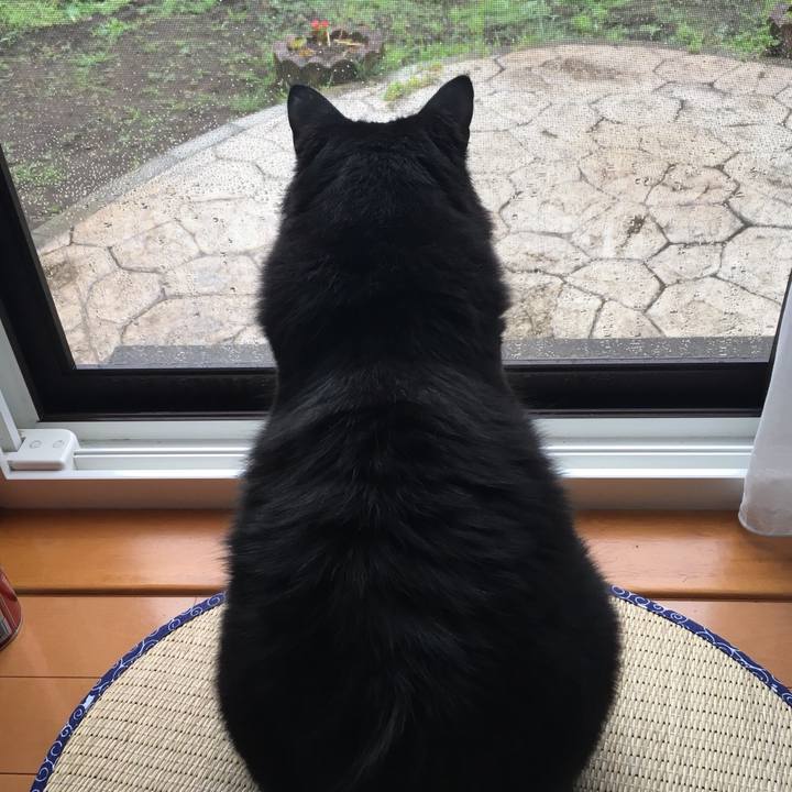 42516765 0fd0 46dd ac92 dc174db228c5 1533858130809