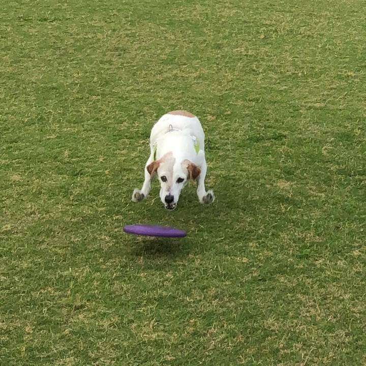 42518b78 bef4 4d6a bc6f f3a2345bf0bd 1561727631978