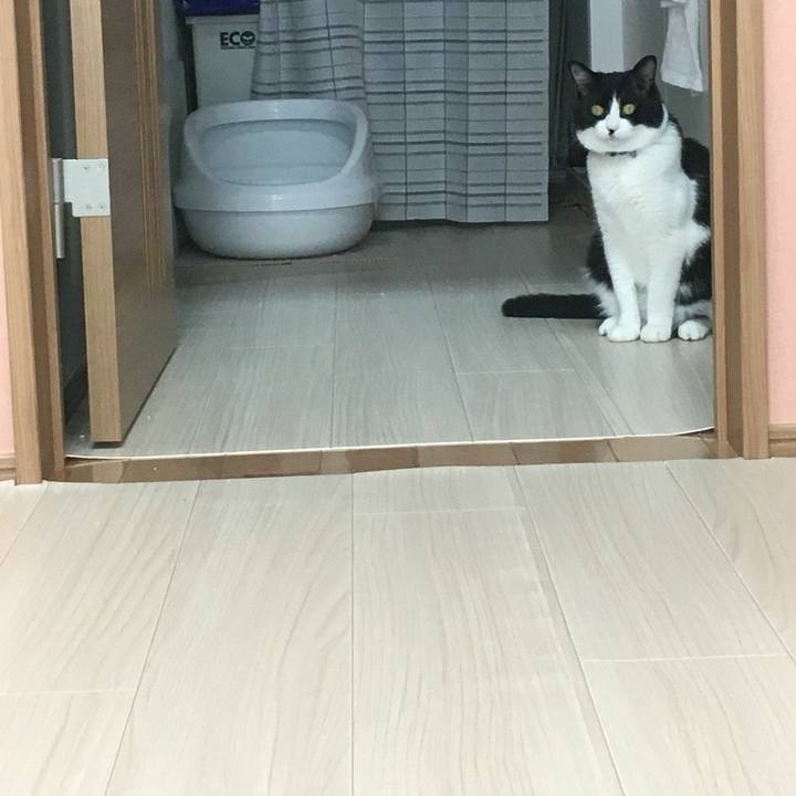 4251eba2 6590 4a74 87b8 43f764e97a30 1525922109312