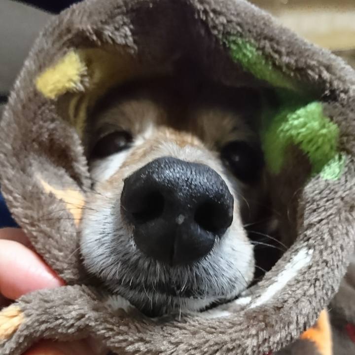 425216aa d023 4a5f 93ea 3631fedbfc33 1510879538098