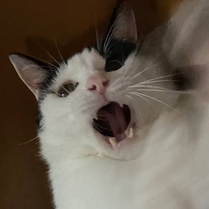 425216b0 17a9 4813 bd4a 176f336eb506 1594130473179