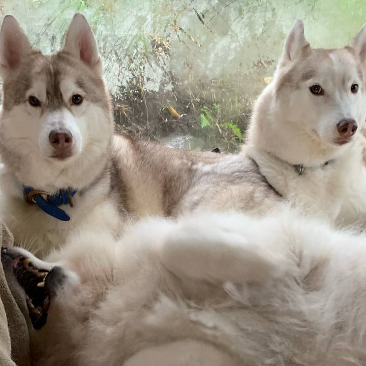 425238a8 e66c 45e6 be52 2f54b514bbd9 1633794697193