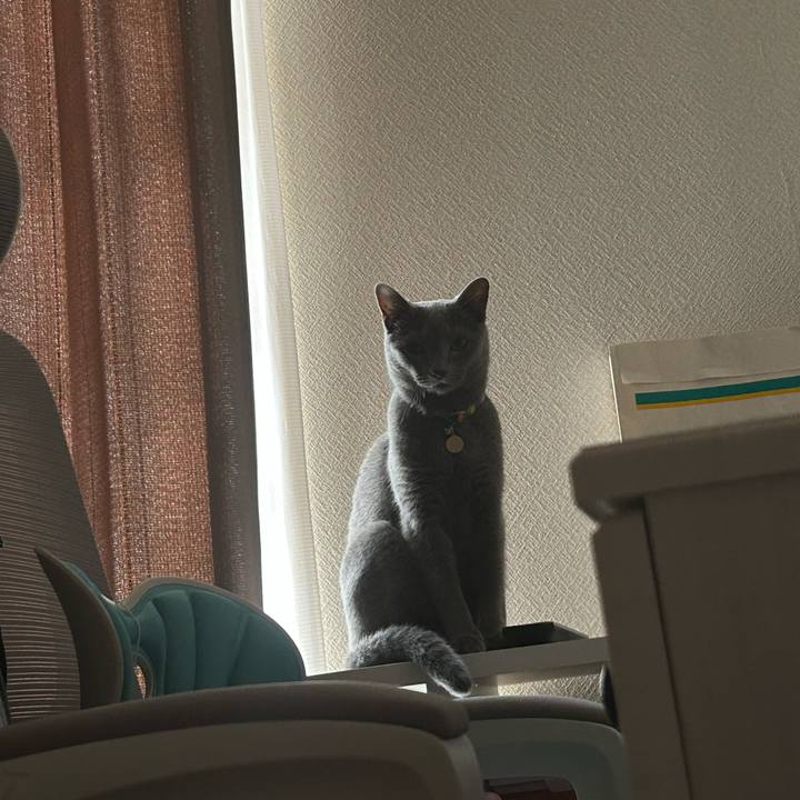 42525165 5fc4 4467 b5e6 76300ee299b3 1696570376035