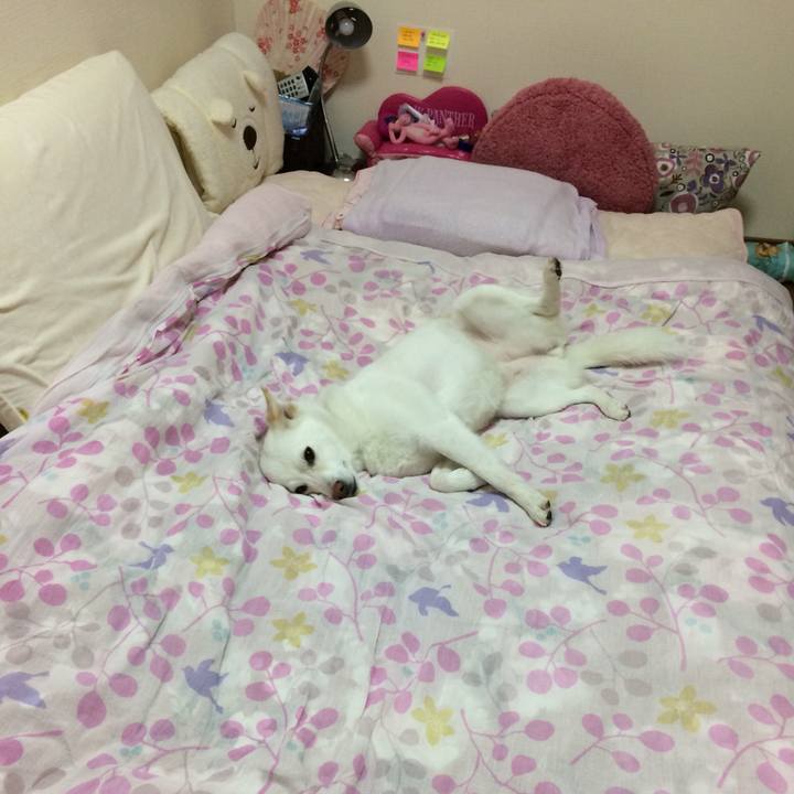 42527a96 d723 4b3c a8d5 880c733212f5 1559661664732