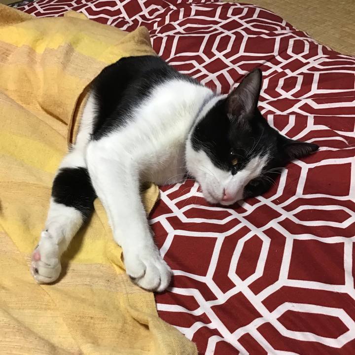 4252a15b d684 49a1 9472 e04404e9559a 1638347415586