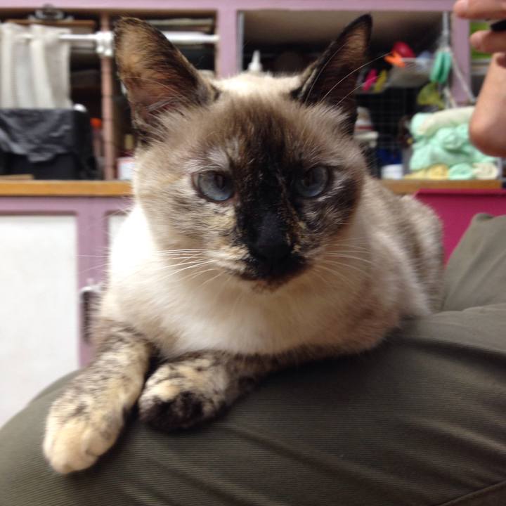 42535e1c 179f 4da2 8484 e1c0637eeb18 1508469373132