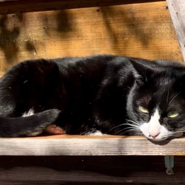 42536a6e bbdb 4595 9631 970252d178fa 1739933282477