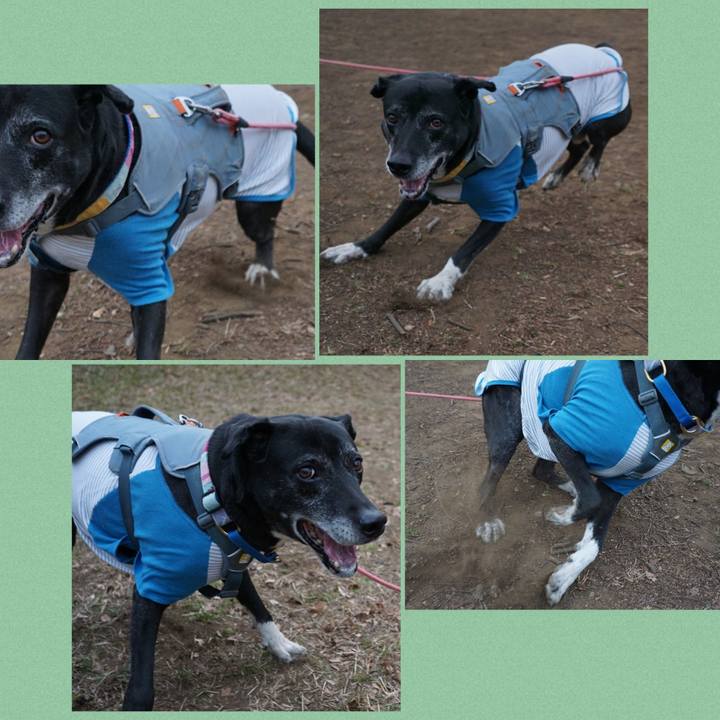 42538ebf cc31 4800 90d8 c60da2ccb4f0 1768955098101