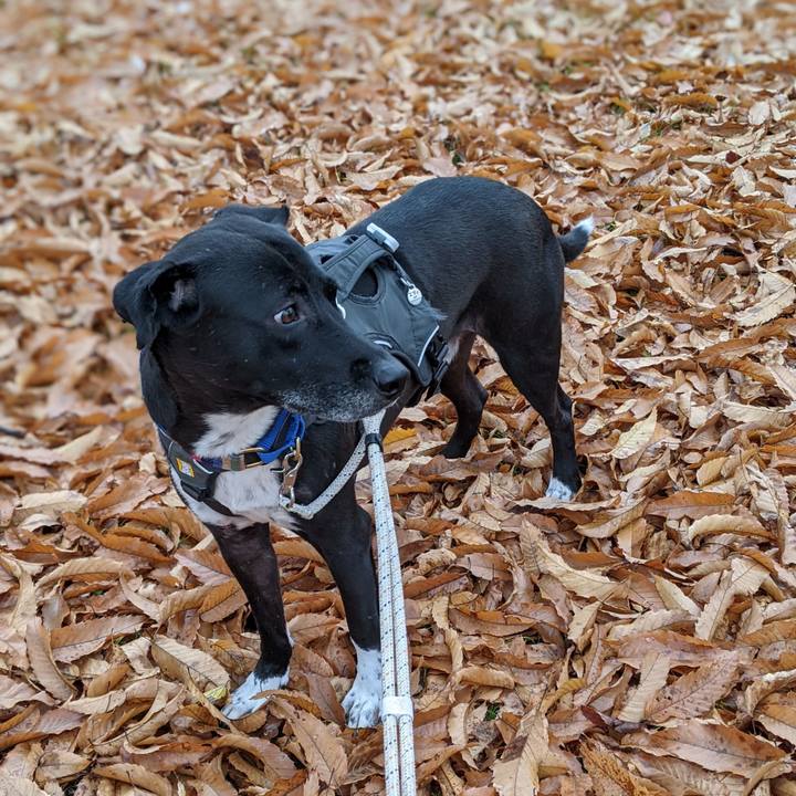 42538f8f 2c42 4c91 a0ed ad0285b7f776 1639010823712