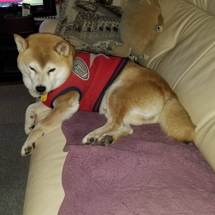 4253d4f1 5be1 436e be76 3da54da0611d 1606126796631