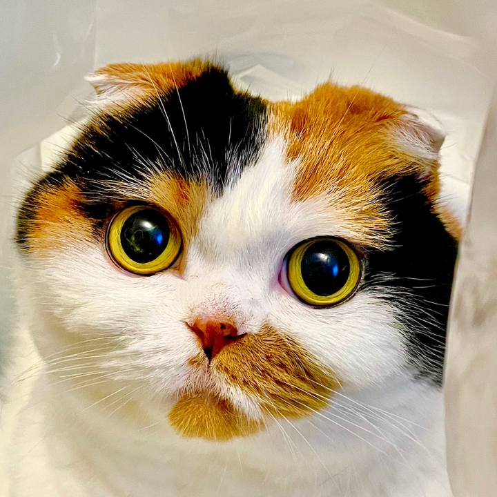 4254900b 0e2a 46d4 93e2 72e14eeef7b9 1656157800453