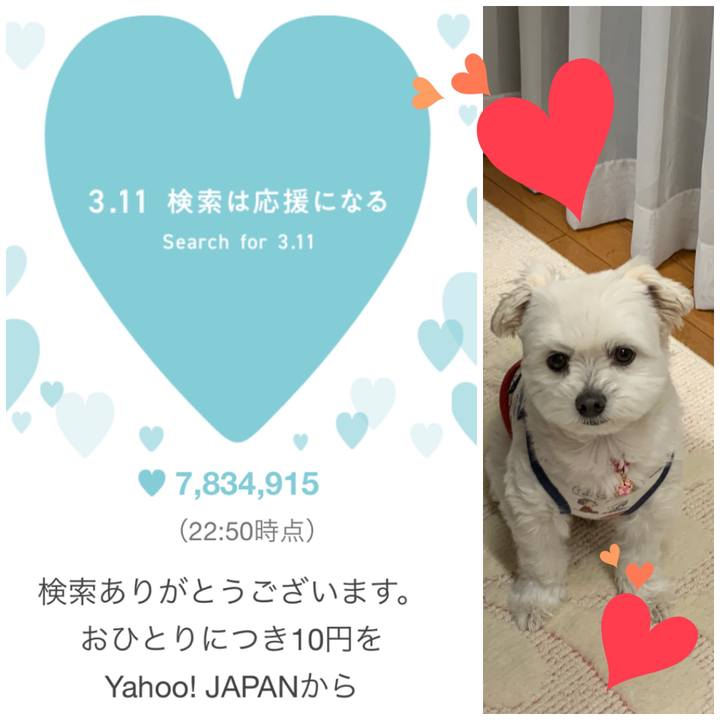 4254a736 1d05 4ee6 8605 afb48f2d779b 1583935759682