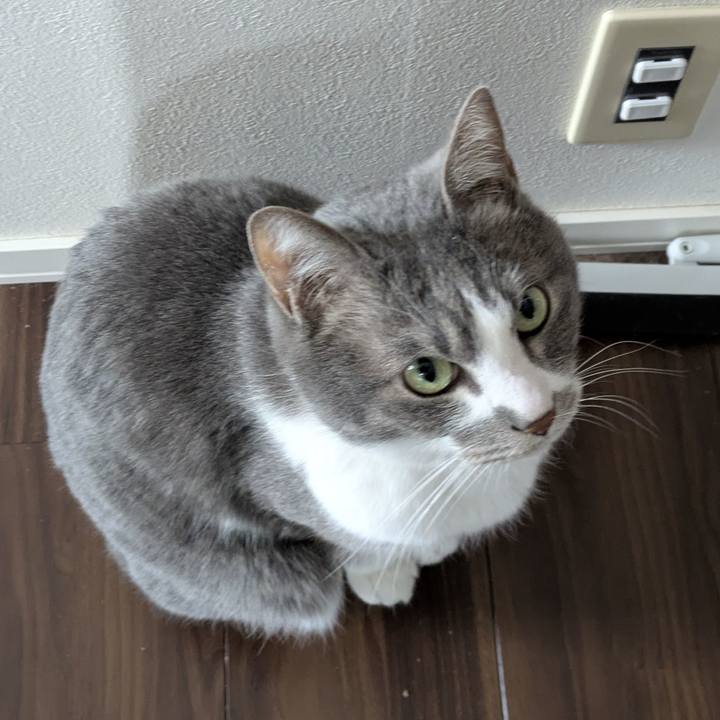 4254ab30 f6cf 406d 8854 2212a5bb6483 1770860264150