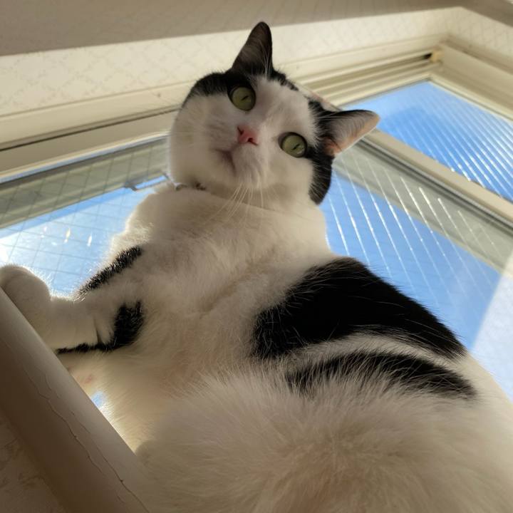 4254b46c 7809 46c6 8b9c 68d60ab36824 1768345911824