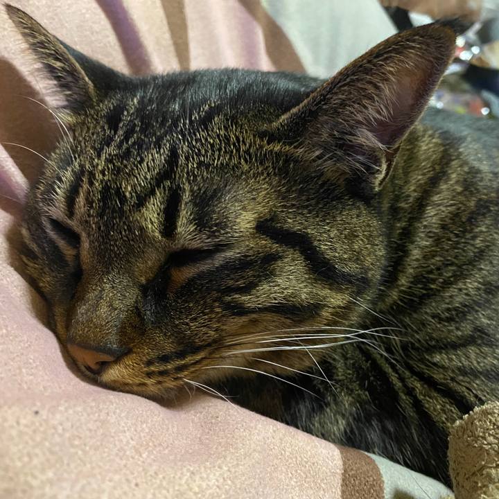 4254c075 7e80 4a3f b89d c4b1dacd09fd 1664322794057