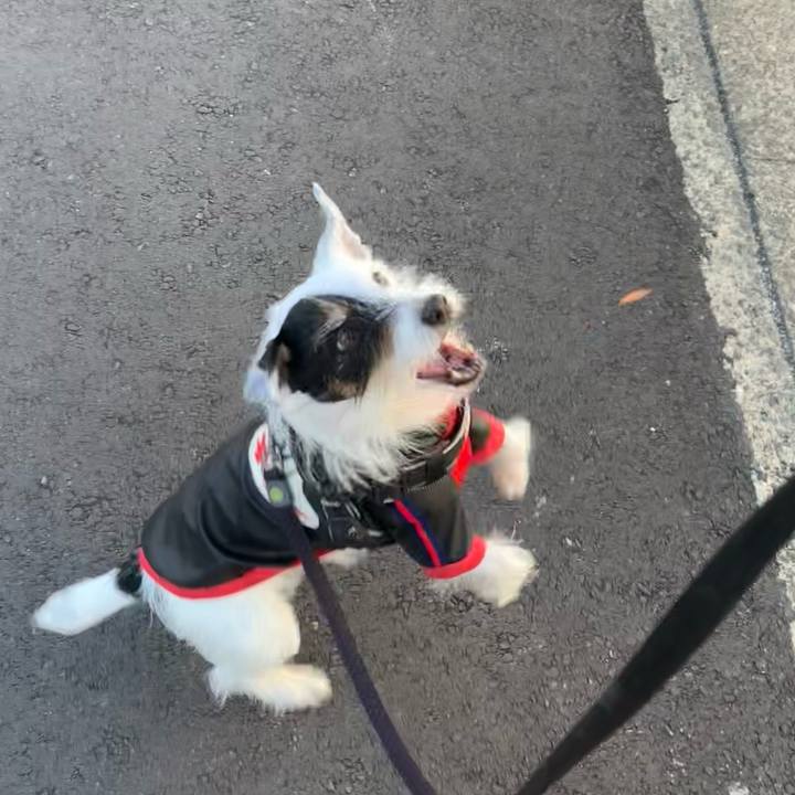 4254e2a9 68a7 41b2 9a3e 1c9ecc2eee61 1736554779642