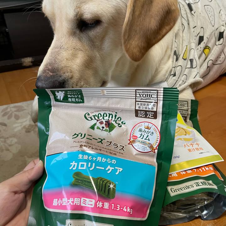 4254f427 5fdf 4355 ad5c d6953d3e5aa3 1639817990415