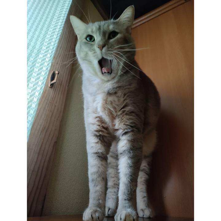 42552e13 ff14 41a6 b98a c0133d26fa8c 1713845045250