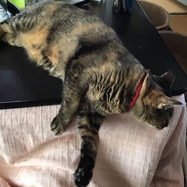 4255389e 4ceb 433a 8be6 07cbd16160b5 1704417138518