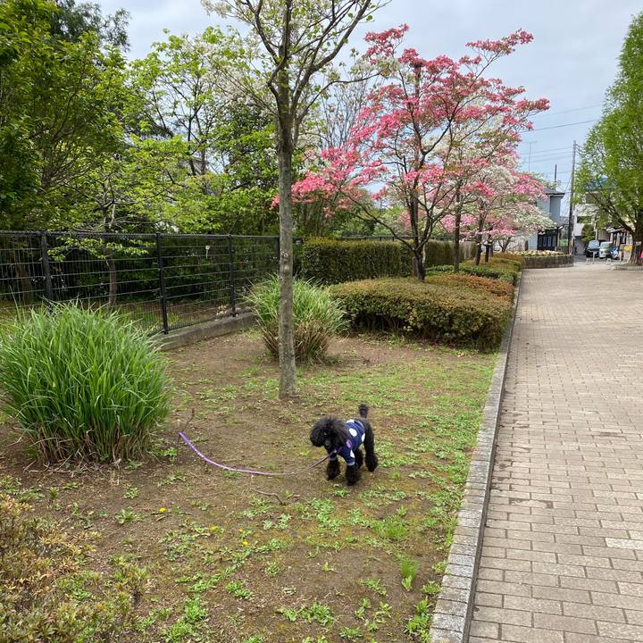 42555b03 7f3c 4aeb 833a 957e79268f0d 1650159423014