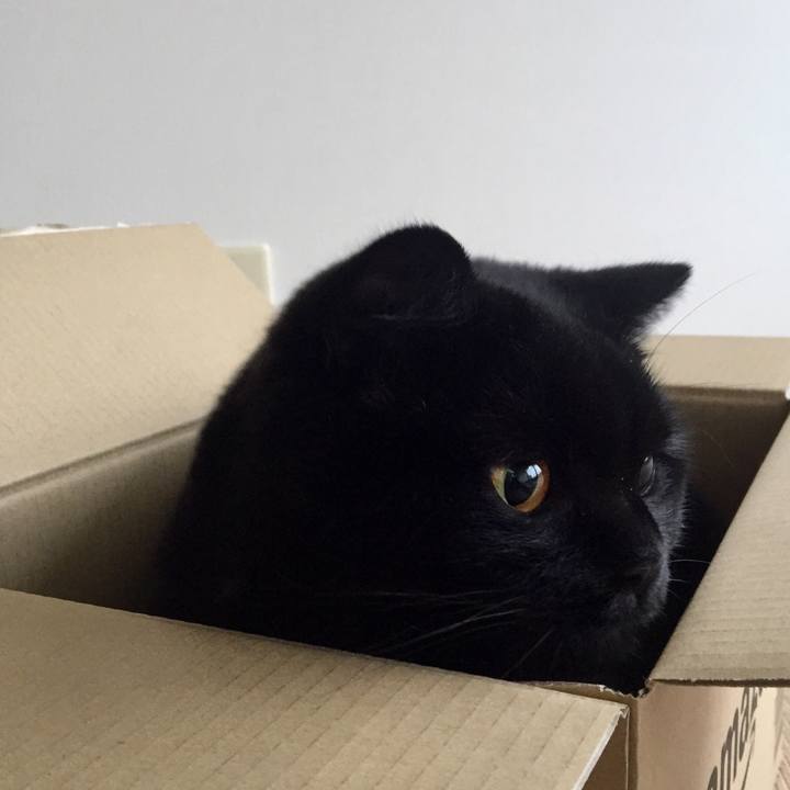 4255671e 7b3a 4ed7 97a3 24f0369f6a00 1565247866010