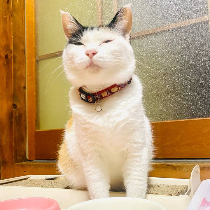 42556e4f c95d 4881 97ac 5c511dd25944 1660572302073