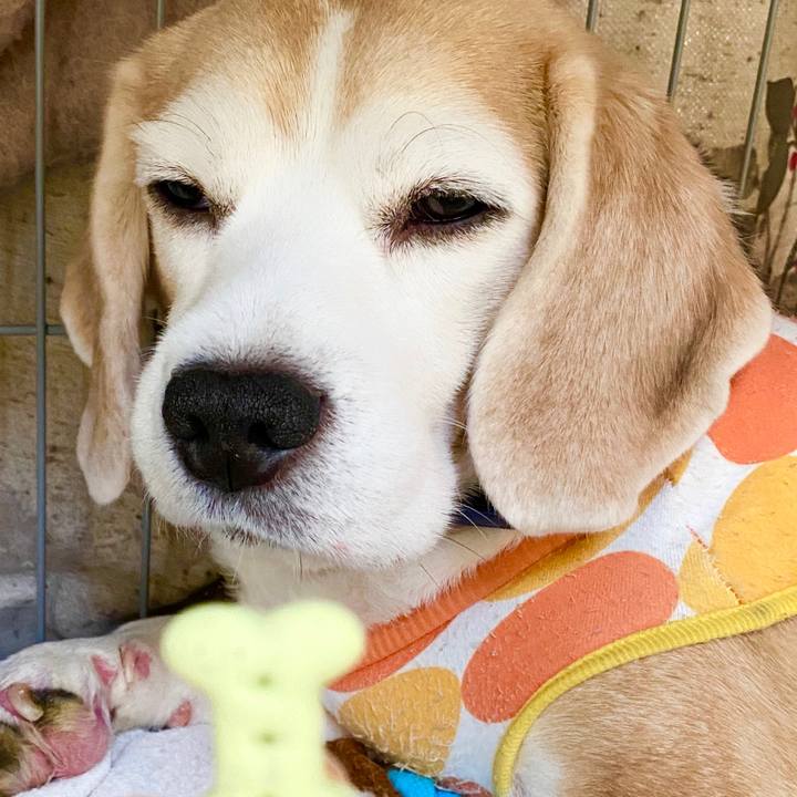 42556fd0 7096 4c23 a884 9c353d2c0475 1585025426622