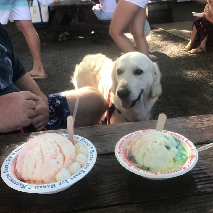 42557309 5064 4204 bf8d 9cbe8dcac516 1536992574290