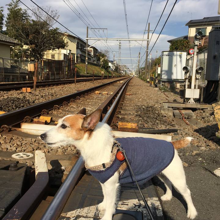 42559177 c1f3 470f 989d 228684f2be4f 1608161494560