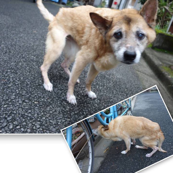 425591c7 d546 46ac 818f 7e7790775cf7 1566769053714