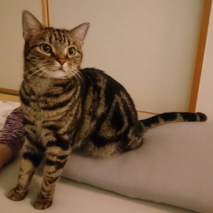 4255b43d 2f3c 457c 8595 8832ffdcffc5 1512441533907